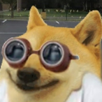 TomAshHayTo's Avatar'