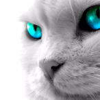 mosezhiyi's Avatar'