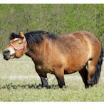 AMK_PHERDY's Avatar'