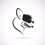 Youmotherisfly's Avatar'