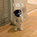 stardustobw's Avatar'