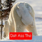 UniquePolarBear's Avatar'