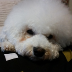 BabyfaceKane's Avatar