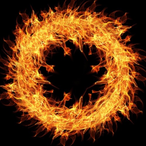 Blast Turtle's Avatar