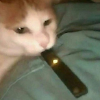 Ruby_da_churry's Avatar'