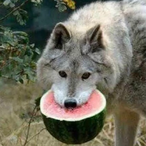 IzSalty6666's Avatar'