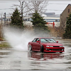 JS Sandpiper's Avatar'