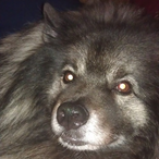 Larry-Da-Loafa's Avatar