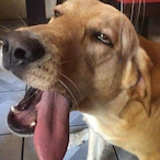 ReignSover.'s Avatar'