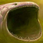 CarsonBruh's Avatar'