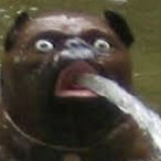 SoggyWantons's Avatar'