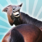 chevaled's Avatar'