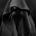 HengerAtya1's Avatar