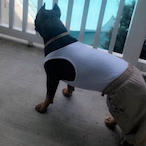 jaidenlockard's Avatar'