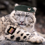 Cdr.SnowLeopard's Avatar