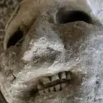 proudpotatoes63's Avatar