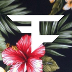 NastehhHD's Avatar'
