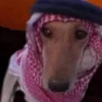IraqiBoi's Avatar'
