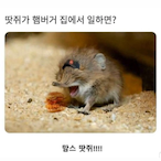 temp-7744276076's Avatar'