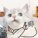 SwordNews.'s Avatar'