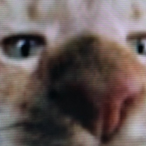 RxWaffle's Avatar'