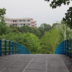 Damon-1999's Avatar'