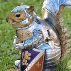 Not_Your_Cat's Avatar'