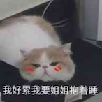 Mk_Pants's Avatar'