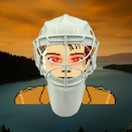 FelonyEvasionYT's Avatar'