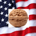 AmericanNut's Avatar'
