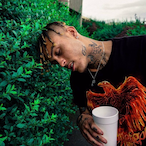 WhyNutttt's Avatar'