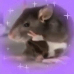 TassaPants's Avatar'