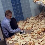 lactationexpert's Avatar'