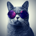 GatoLoco.'s Avatar'