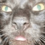 zesc.o's Avatar'