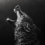 OTZESN's Avatar'