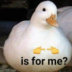 ACrispyDuck's Avatar'