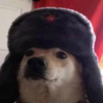 Eat my ah5217's Avatar'