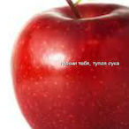 a_single_lemon's Avatar'