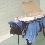 KakeMan123's Avatar'