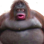 UStinkSoBad's Avatar'