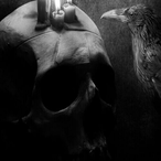 albynospyder's Avatar