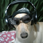 Barbo0's Avatar'