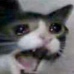 AntonChigur_'s Avatar'