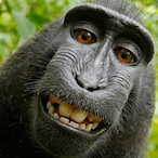 NutTheNutter's Avatar'