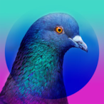 Scary_Pigeon.'s Avatar'