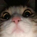 Slayer_bubba's Avatar'