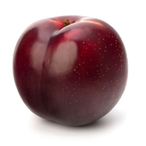 PanicPlum.LD's Avatar'