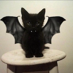 smelvin420's Avatar'