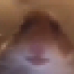 Szndebasn's Avatar'
